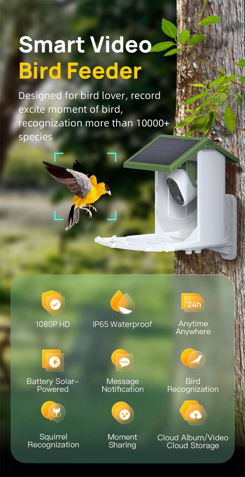 Wholesale Tuya Bird Feeder Cameras PT-02
