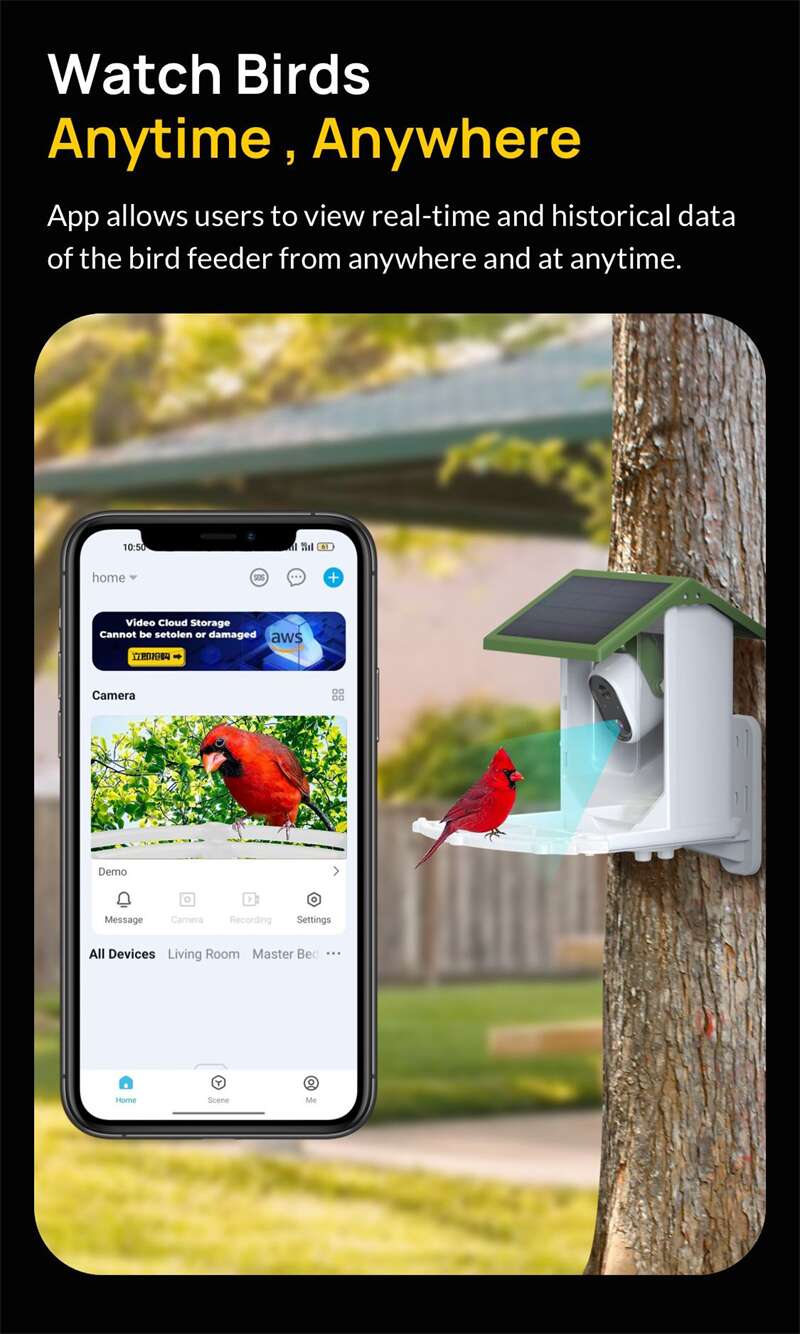 Wholesale Tuya Bird Feeder Cameras PT-02
