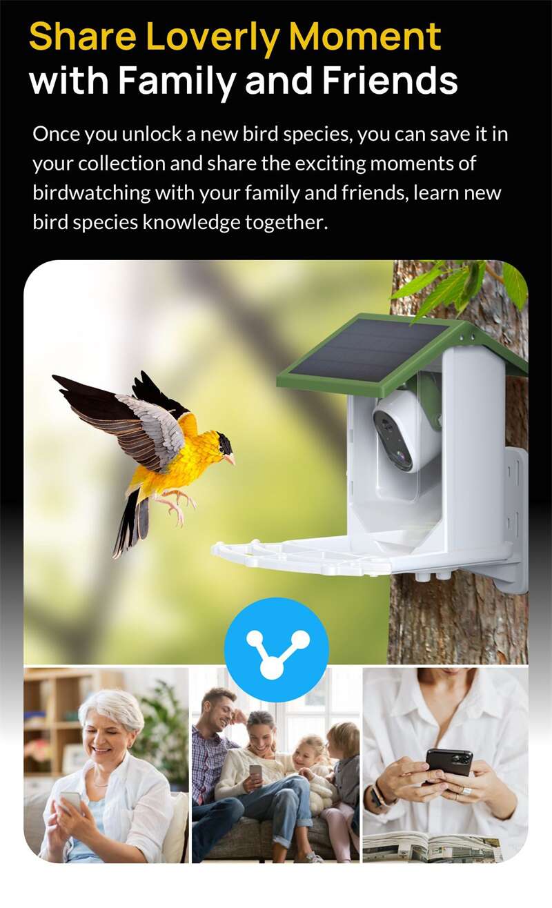 Wholesale Tuya Bird Feeder Cameras PT-02
