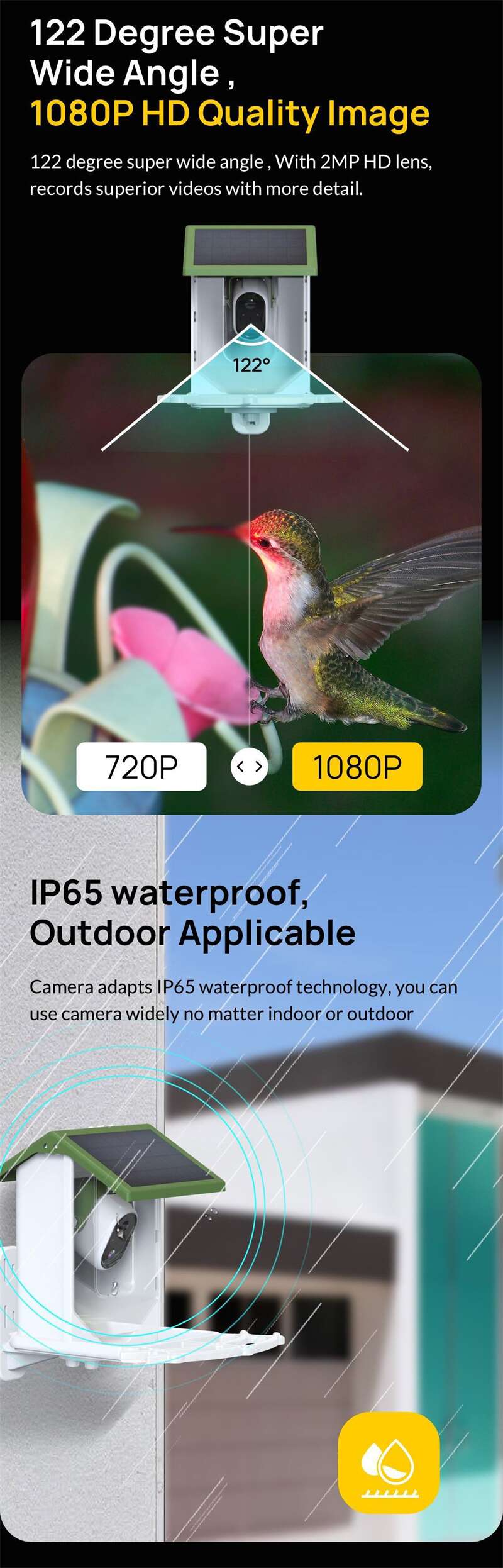 Wholesale Tuya Bird Feeder Cameras PT-02
