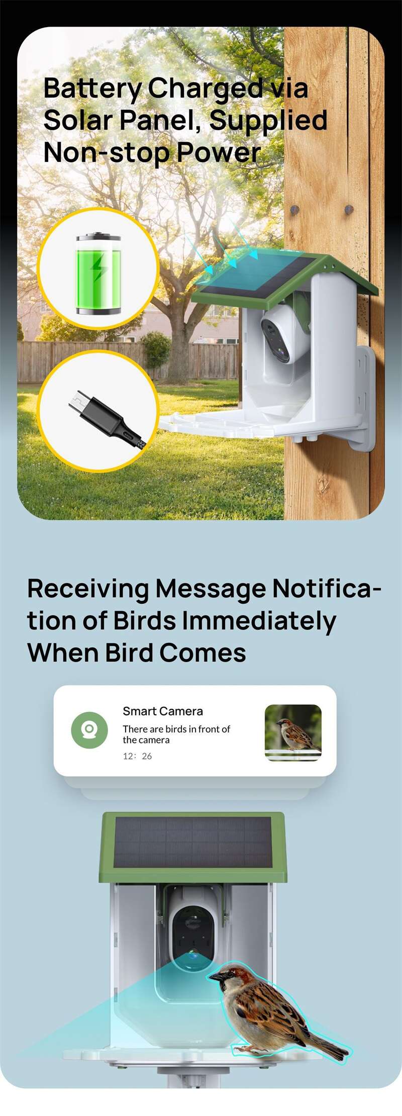 Wholesale Tuya Bird Feeder Cameras PT-02