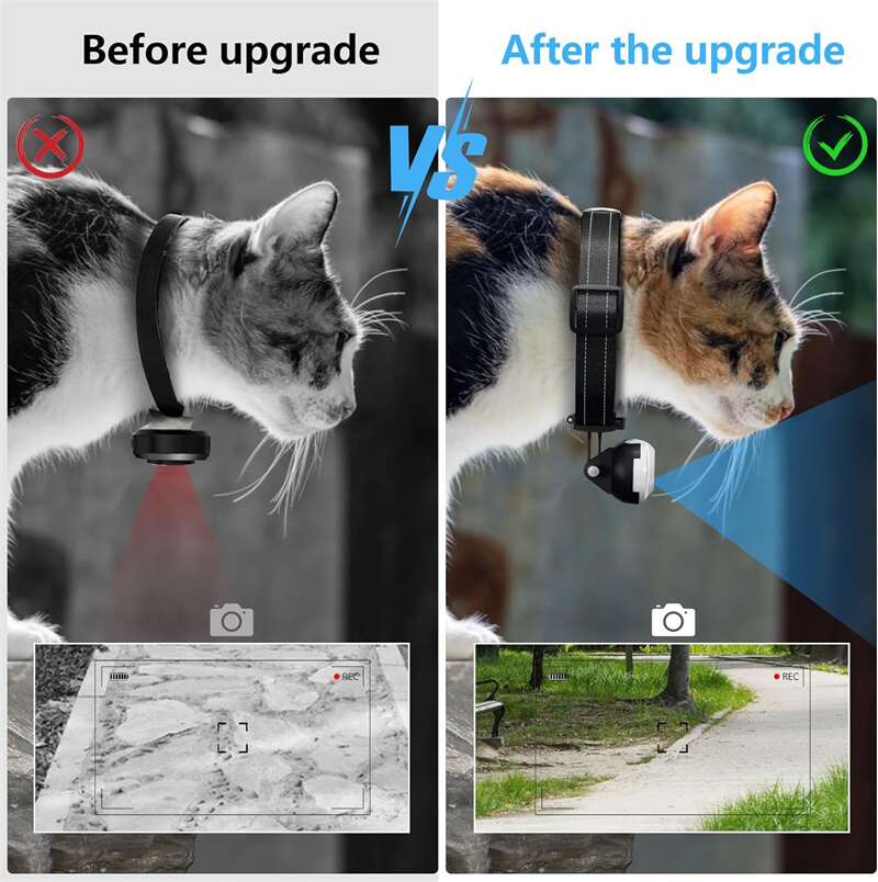  Best Pet Camera For Dogs And Cats PT-05