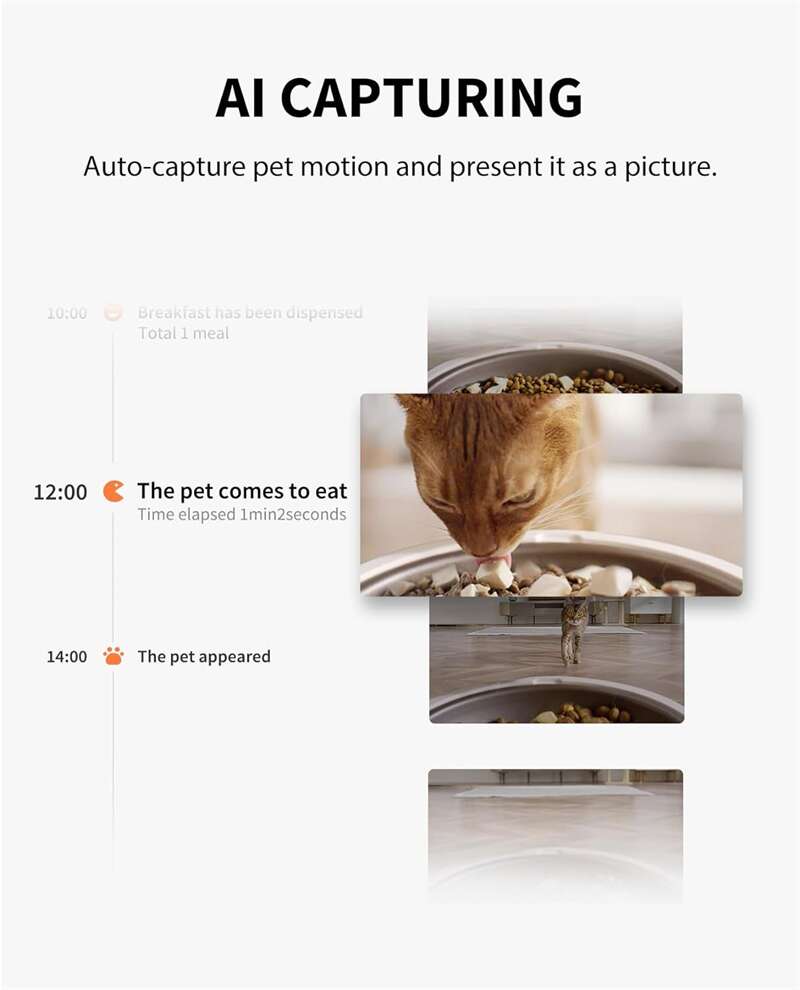Wholesale Automatic Pet Feeders For Cats With Camera Pet Monitor PT-08