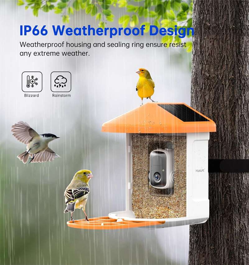 Hanging Digital Bird Feeder With AI Camera PT-10