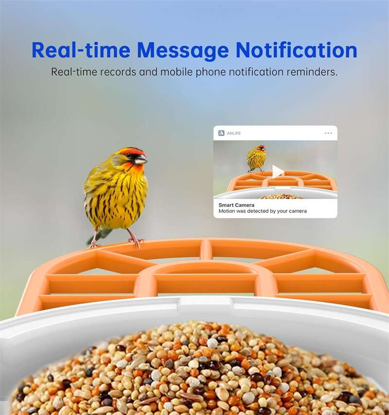 Hanging Digital Bird Feeder With AI Camera PT-10