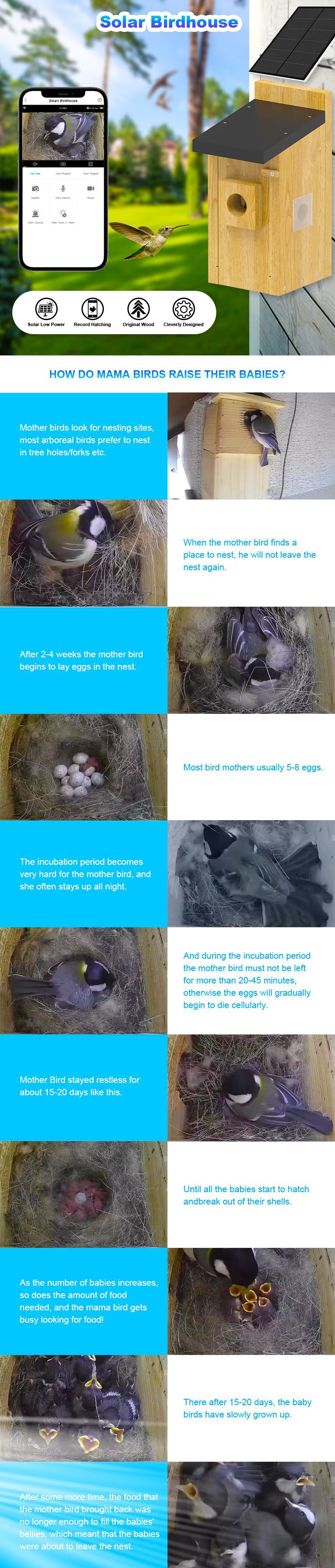 Bird Watching Camera Feeders For Outside PT-11